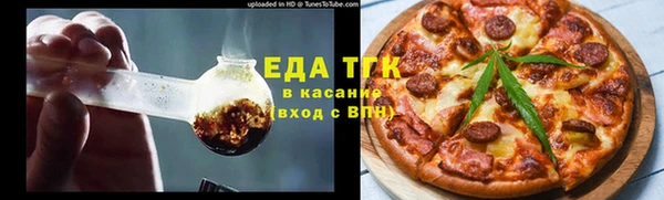 индика Верхний Тагил